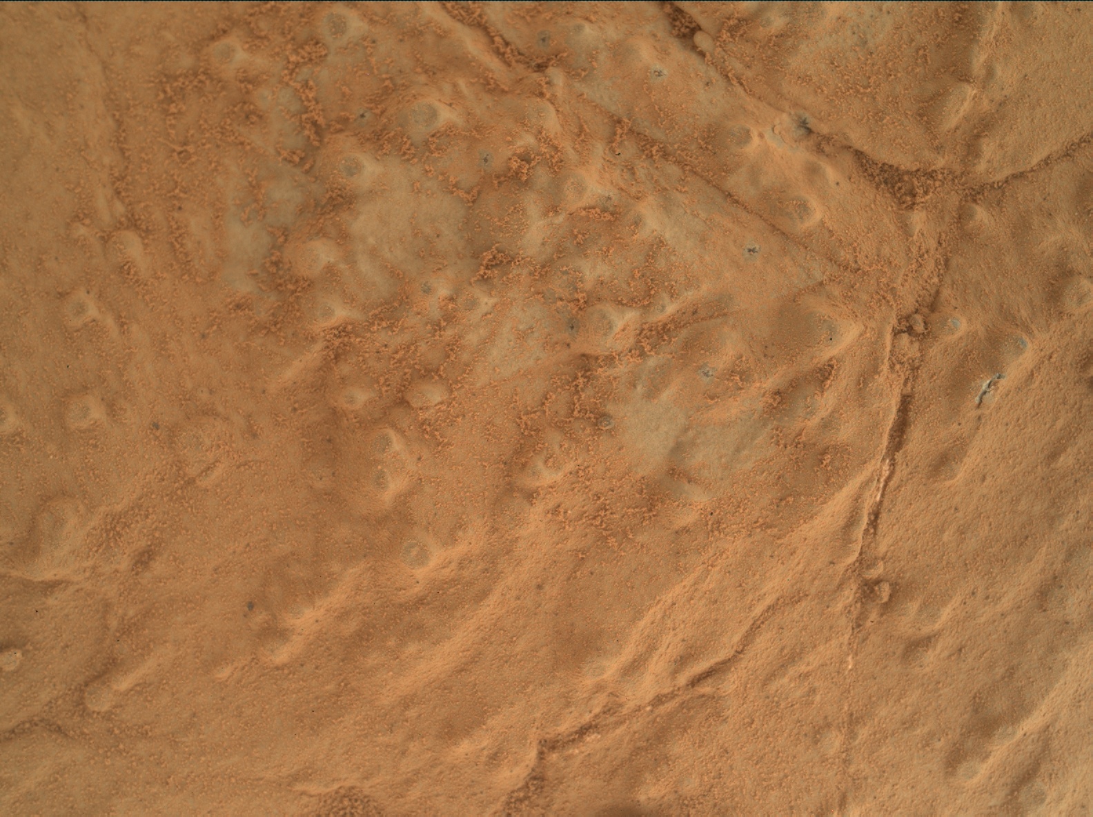 Nasa's Mars rover Curiosity acquired this image using its Mars Hand Lens Imager (MAHLI) on Sol 277