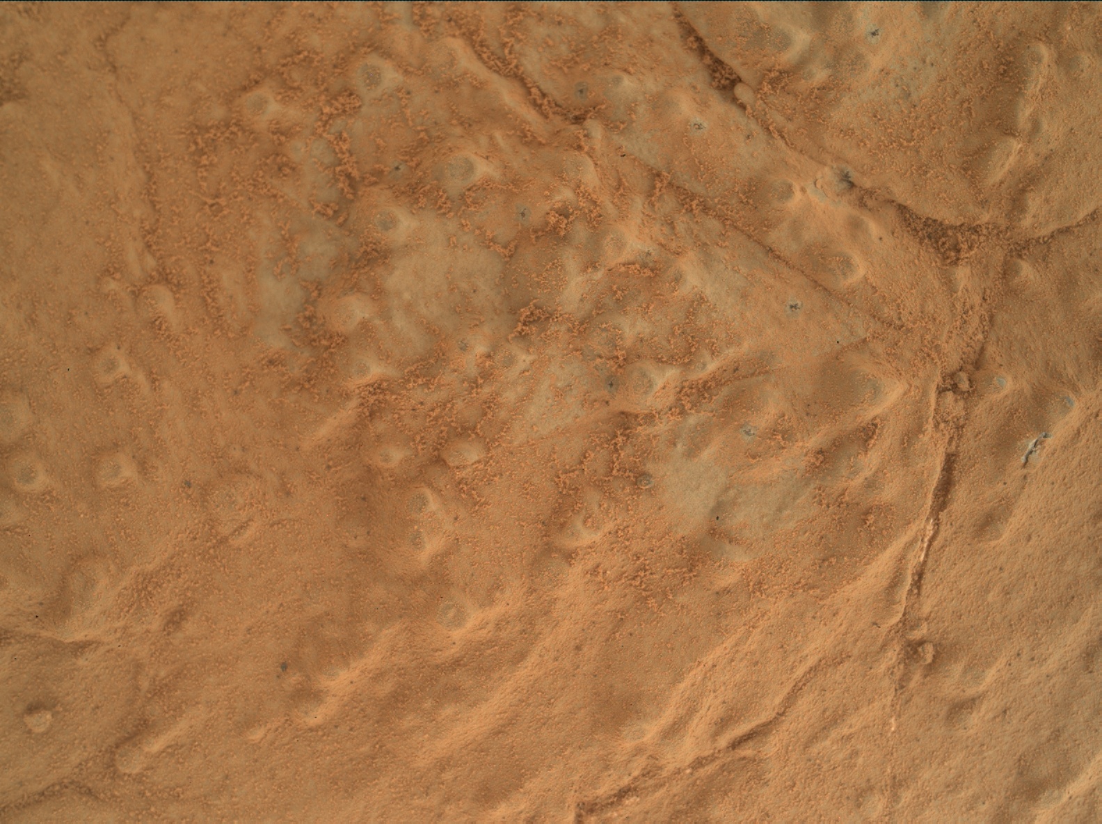 Nasa's Mars rover Curiosity acquired this image using its Mars Hand Lens Imager (MAHLI) on Sol 277