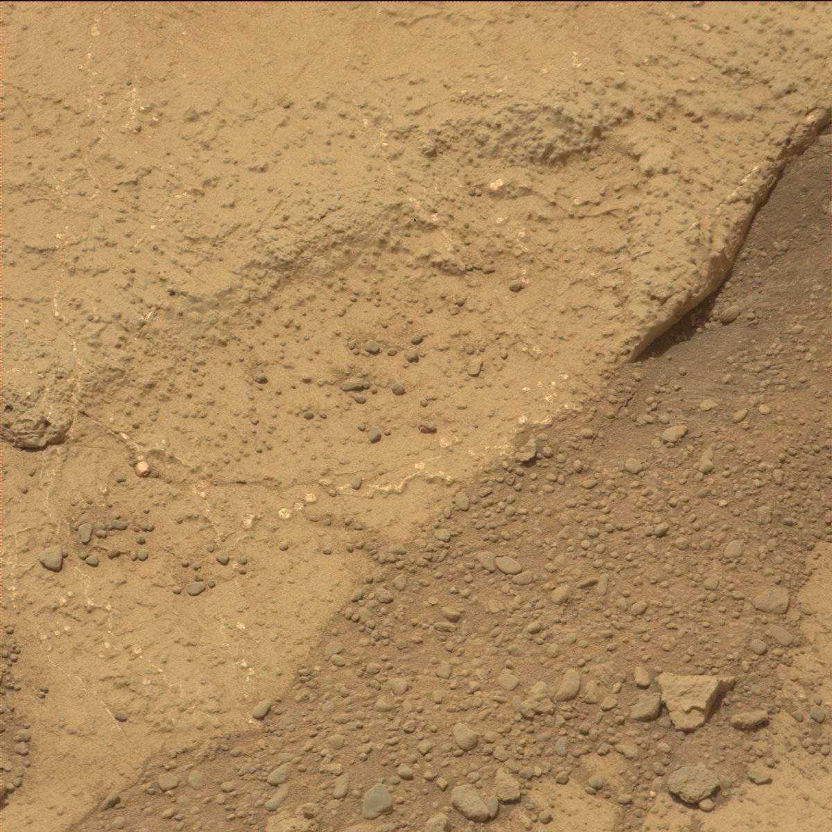 Nasa's Mars rover Curiosity acquired this image using its Mast Camera (Mastcam) on Sol 283