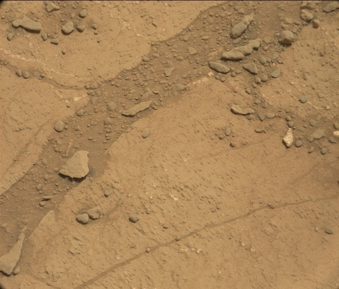 Nasa's Mars rover Curiosity acquired this image using its Mast Camera (Mastcam) on Sol 290