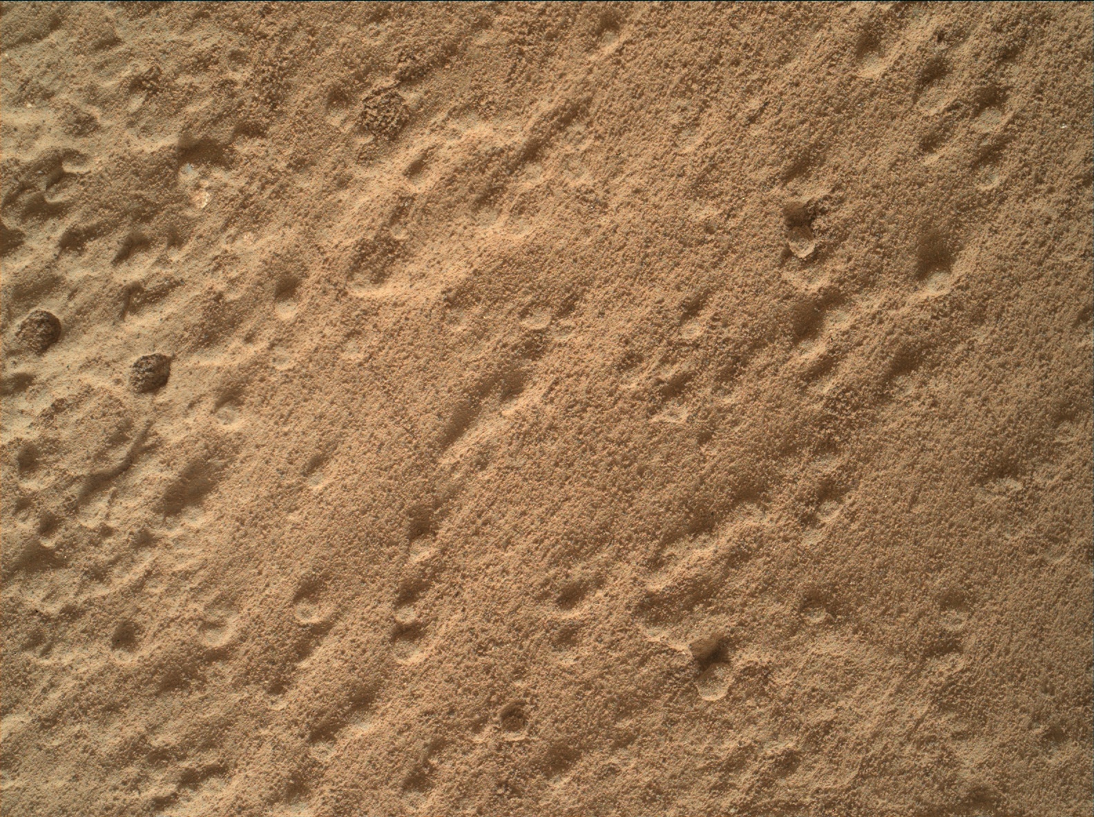 Nasa's Mars rover Curiosity acquired this image using its Mars Hand Lens Imager (MAHLI) on Sol 295