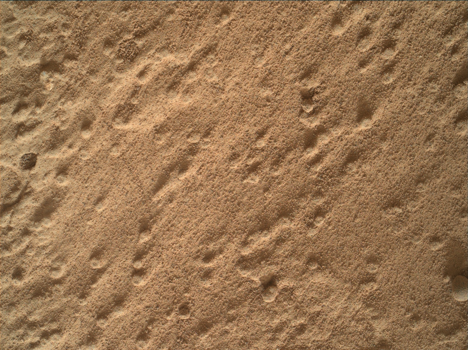 Nasa's Mars rover Curiosity acquired this image using its Mars Hand Lens Imager (MAHLI) on Sol 295
