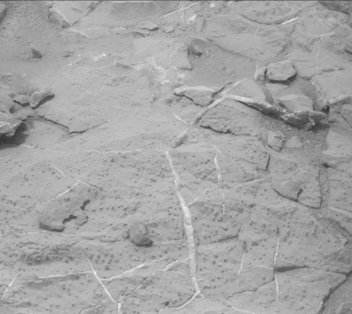 Nasa's Mars rover Curiosity acquired this image using its Mast Camera (Mastcam) on Sol 298