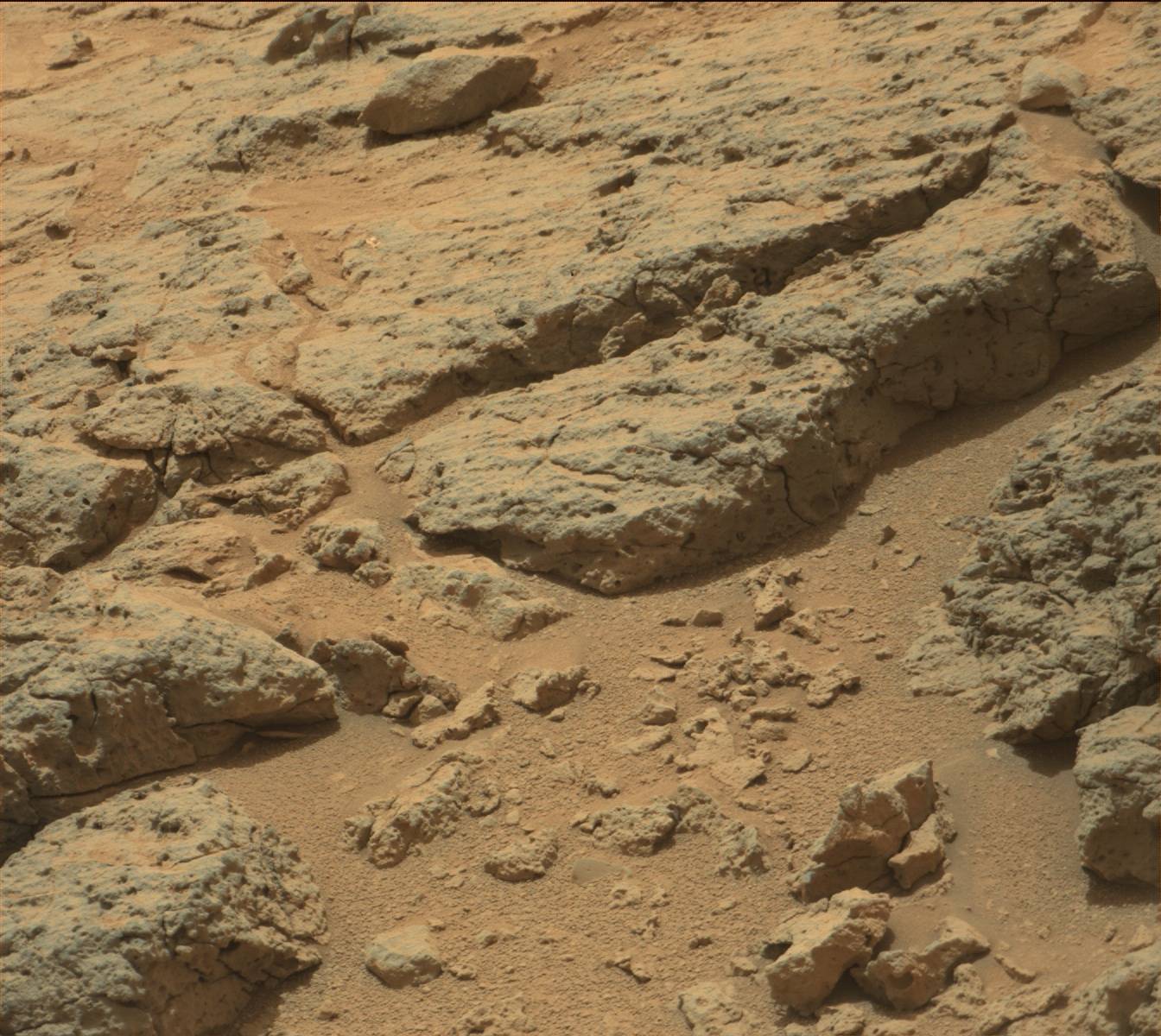 Nasa's Mars rover Curiosity acquired this image using its Mast Camera (Mastcam) on Sol 302
