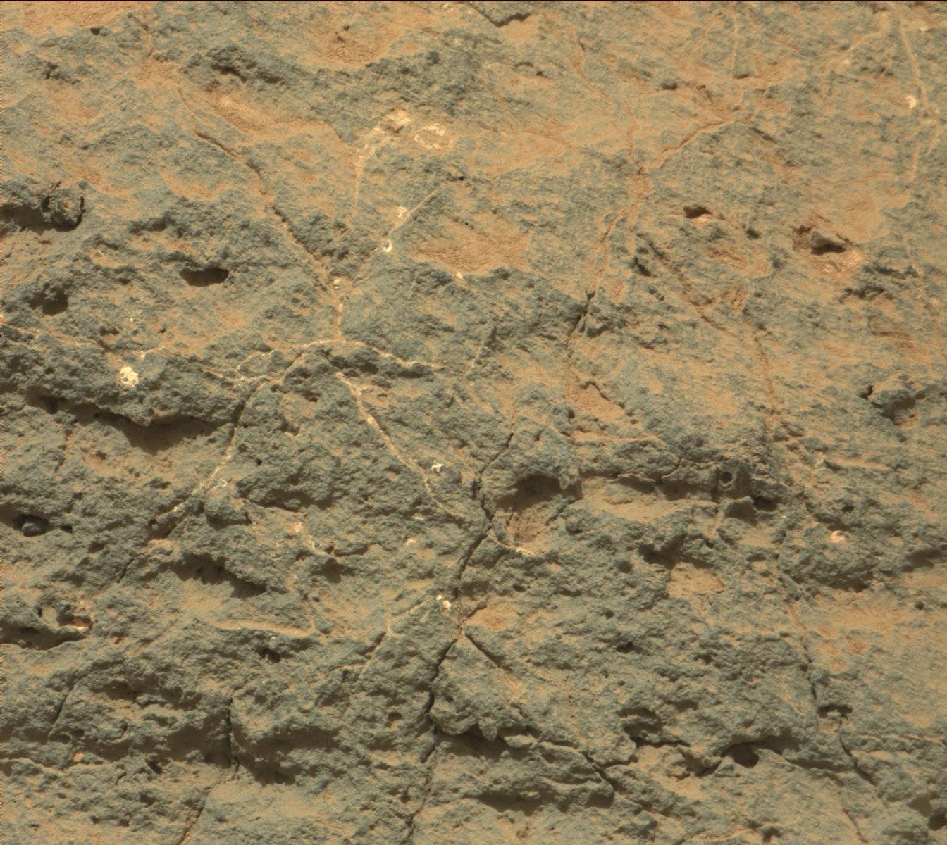 Nasa's Mars rover Curiosity acquired this image using its Mast Camera (Mastcam) on Sol 306