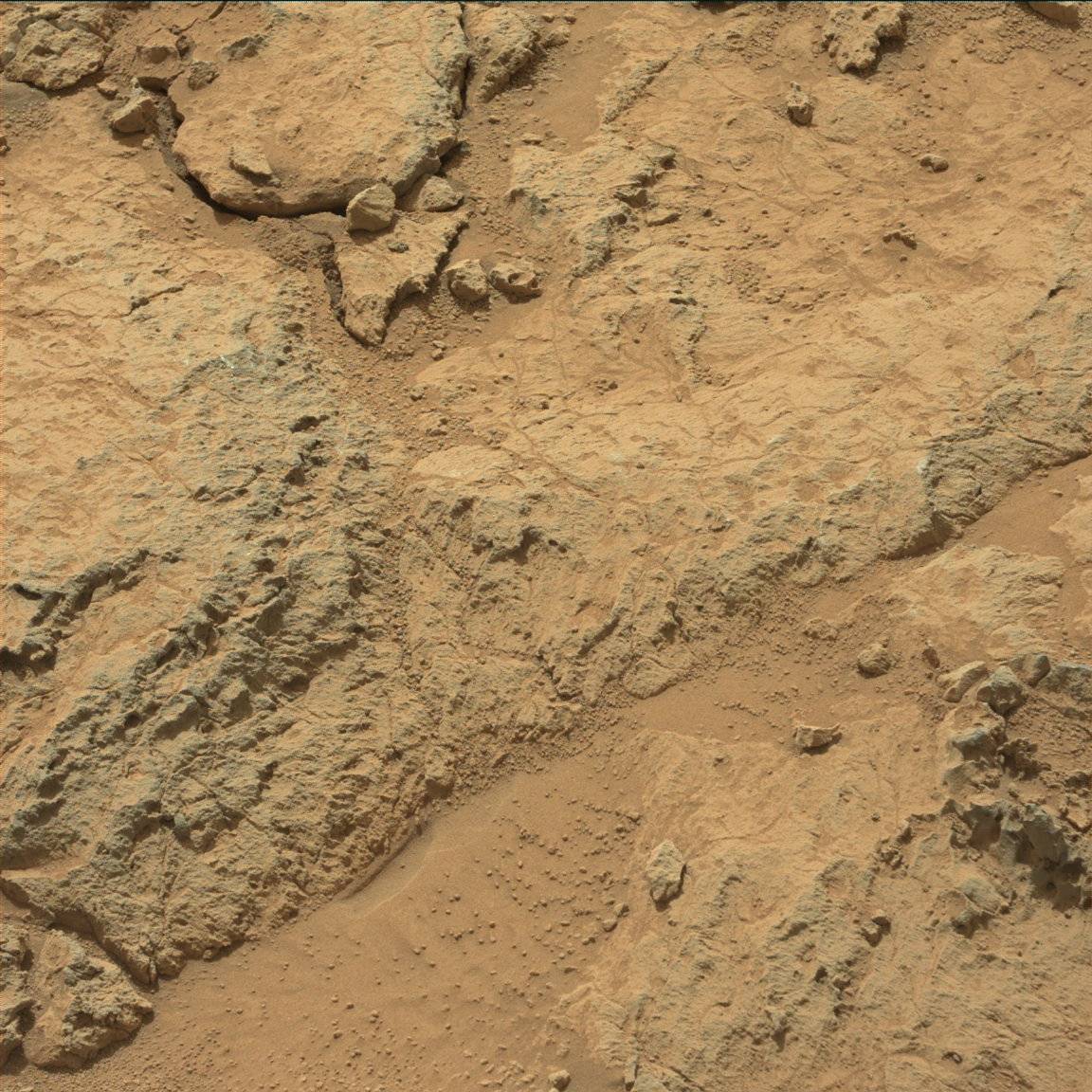 Nasa's Mars rover Curiosity acquired this image using its Mast Camera (Mastcam) on Sol 307