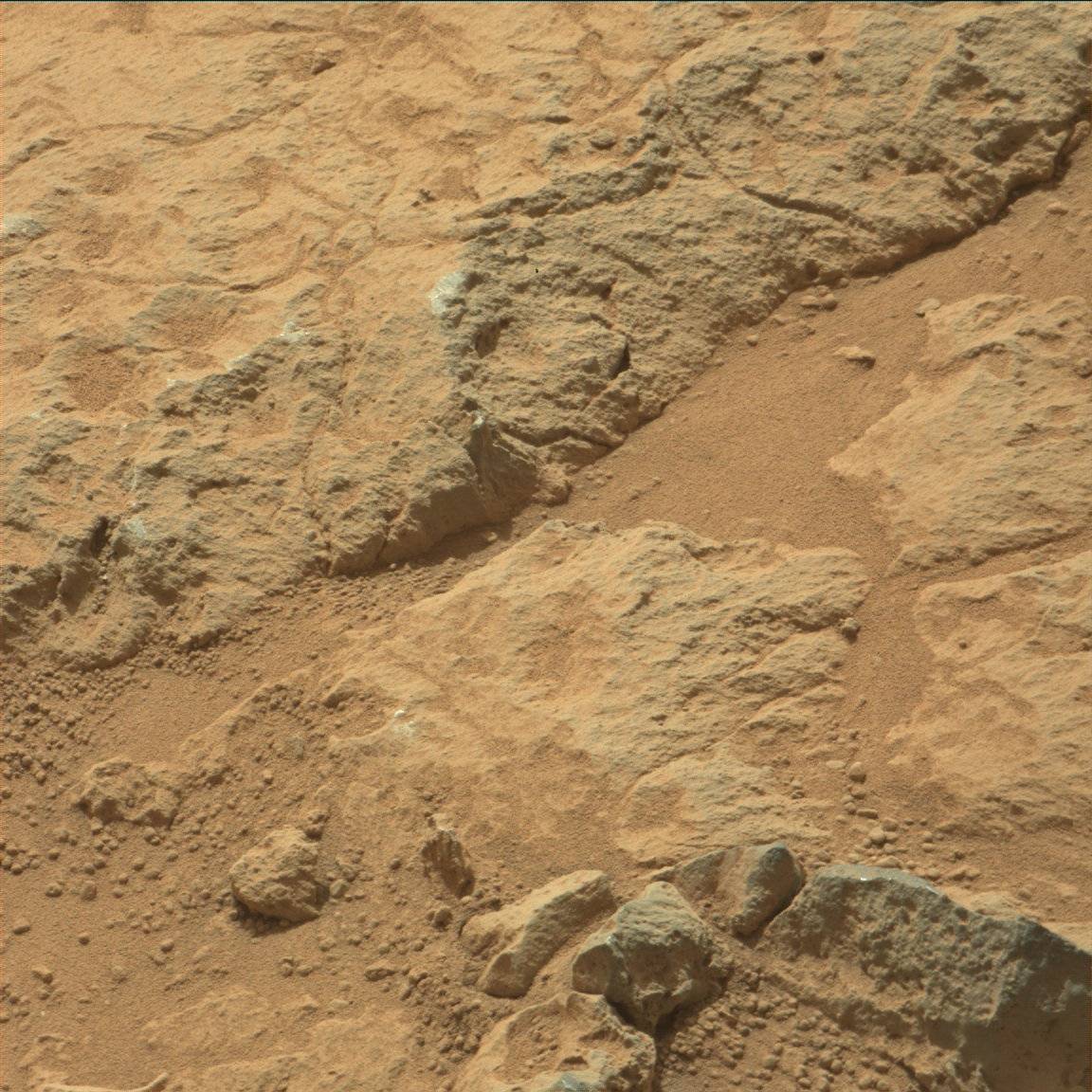 Nasa's Mars rover Curiosity acquired this image using its Mast Camera (Mastcam) on Sol 307