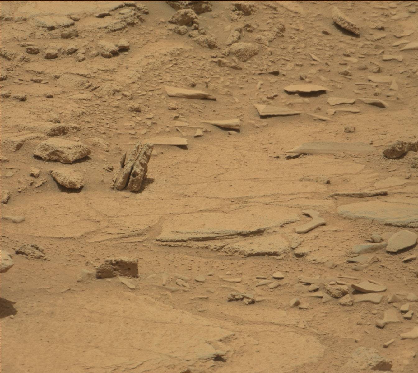 Nasa's Mars rover Curiosity acquired this image using its Mast Camera (Mastcam) on Sol 309