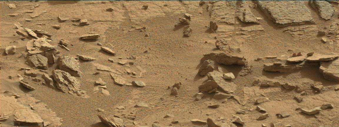 Nasa's Mars rover Curiosity acquired this image using its Mast Camera (Mastcam) on Sol 311