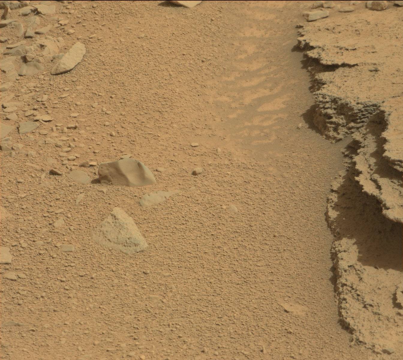 Nasa's Mars rover Curiosity acquired this image using its Mast Camera (Mastcam) on Sol 315