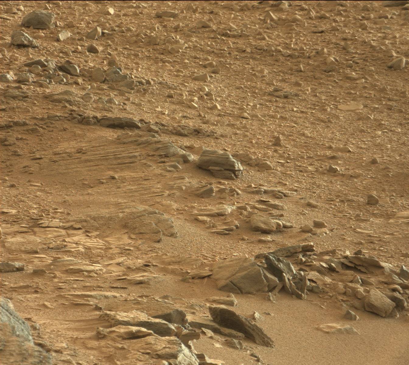 Nasa's Mars rover Curiosity acquired this image using its Mast Camera (Mastcam) on Sol 316