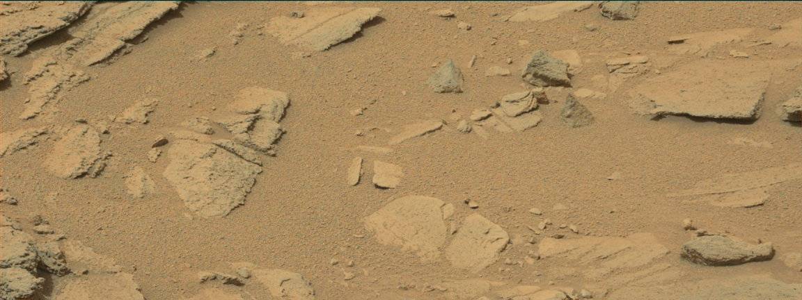 Nasa's Mars rover Curiosity acquired this image using its Mast Camera (Mastcam) on Sol 317