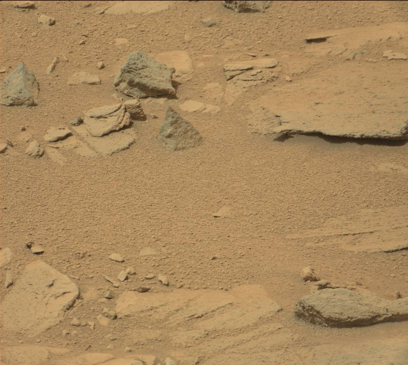 Nasa's Mars rover Curiosity acquired this image using its Mast Camera (Mastcam) on Sol 317