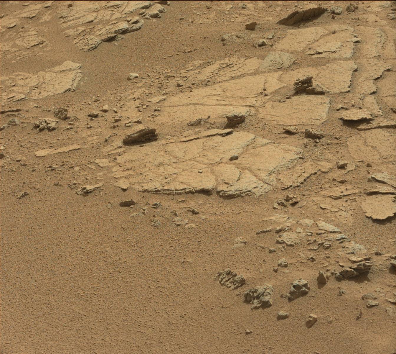 Nasa's Mars rover Curiosity acquired this image using its Mast Camera (Mastcam) on Sol 318