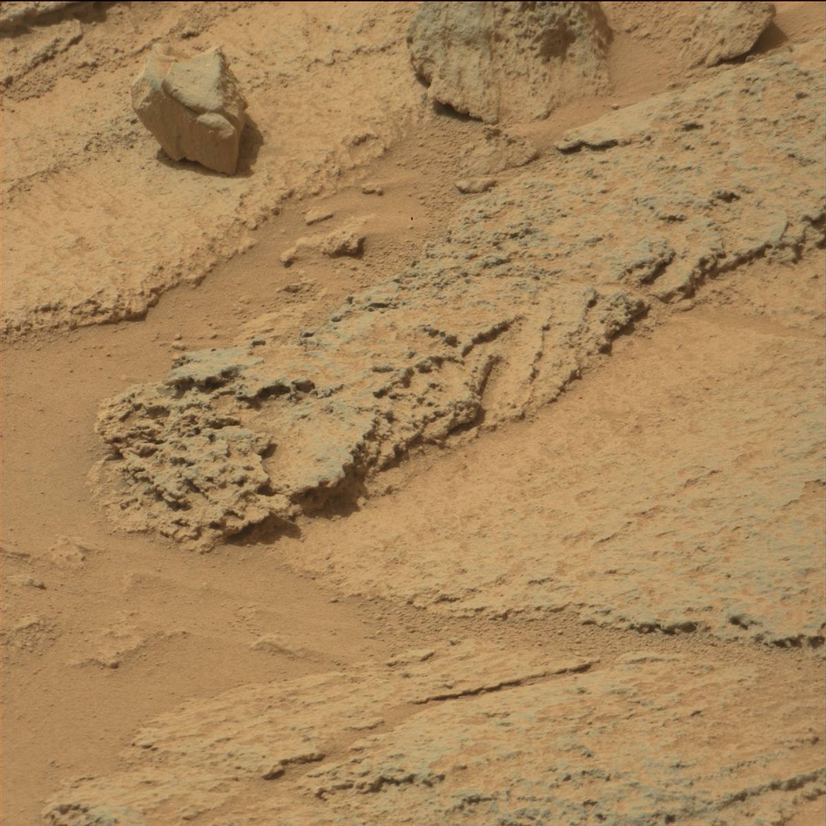 Nasa's Mars rover Curiosity acquired this image using its Mast Camera (Mastcam) on Sol 319