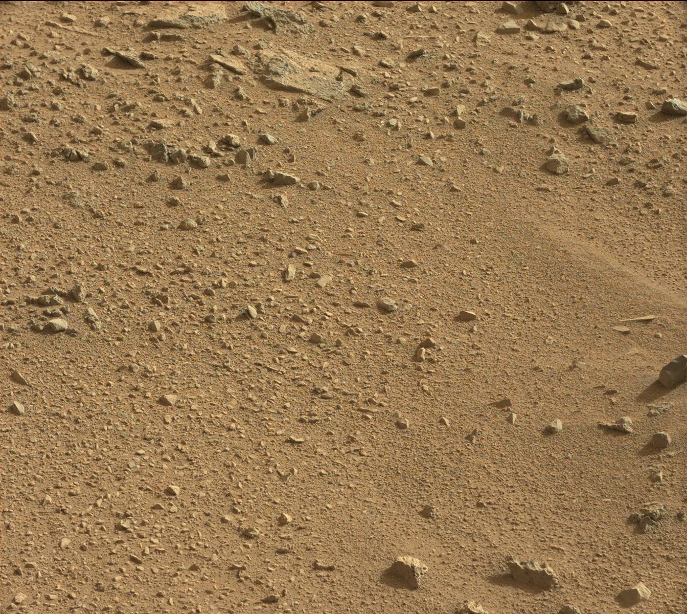Nasa's Mars rover Curiosity acquired this image using its Mast Camera (Mastcam) on Sol 333