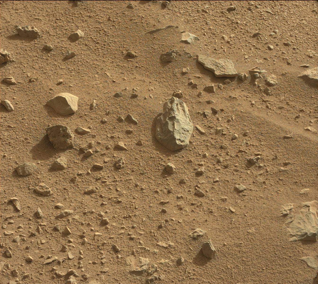 Nasa's Mars rover Curiosity acquired this image using its Mast Camera (Mastcam) on Sol 333