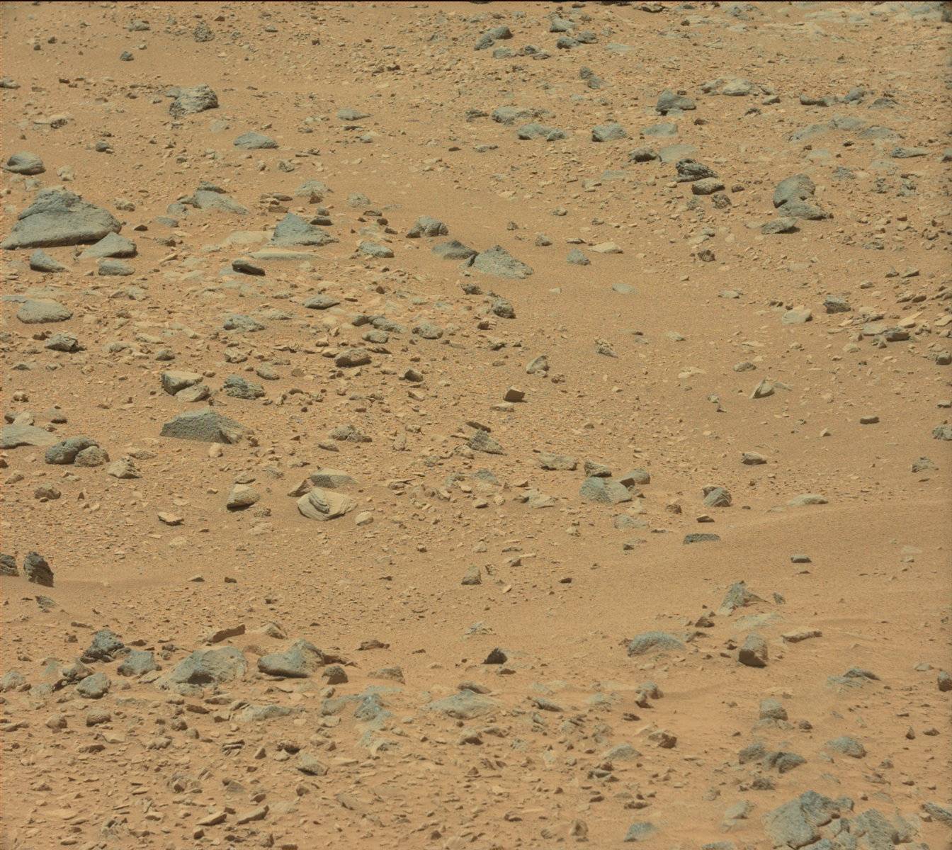 Nasa's Mars rover Curiosity acquired this image using its Mast Camera (Mastcam) on Sol 336