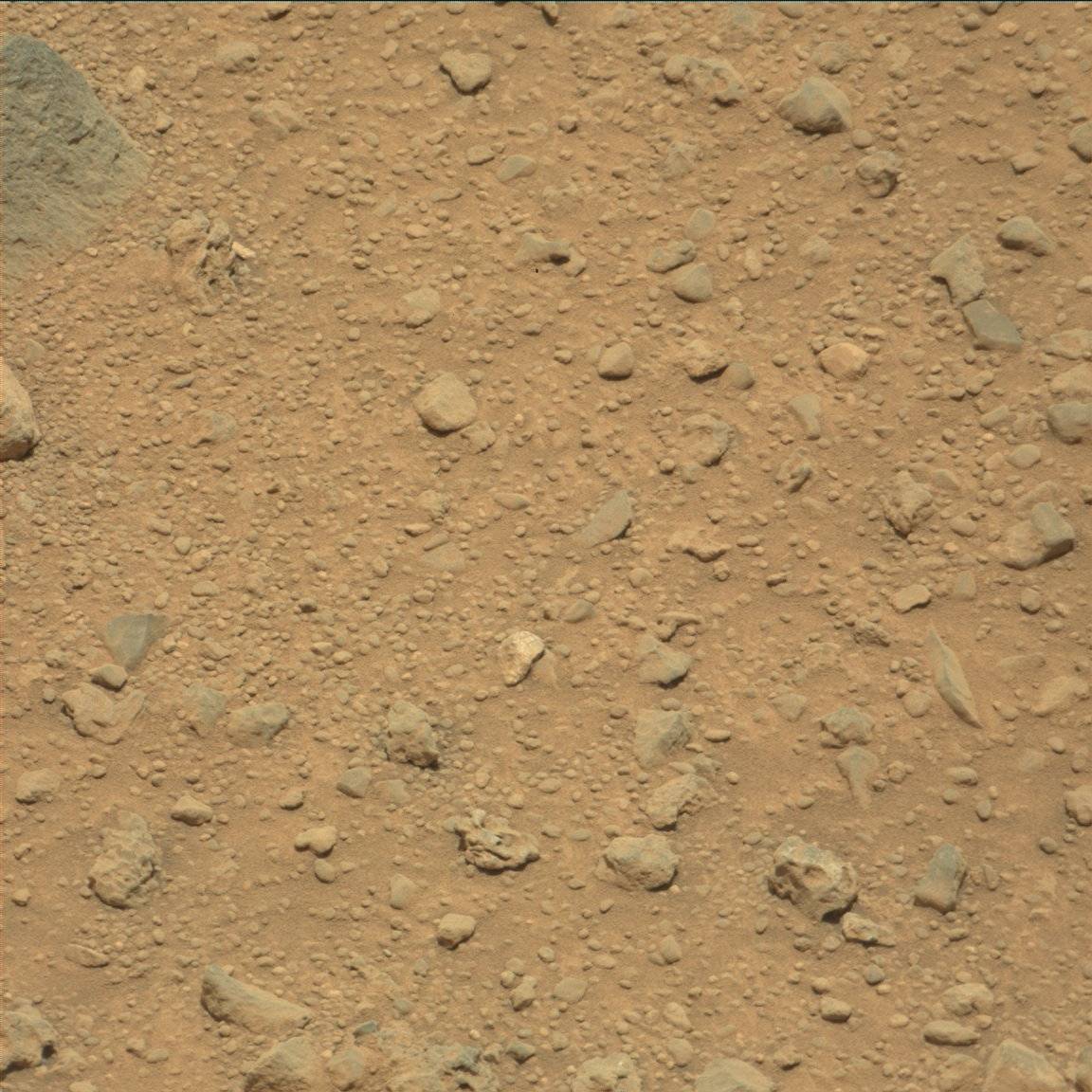 Nasa's Mars rover Curiosity acquired this image using its Mast Camera (Mastcam) on Sol 337