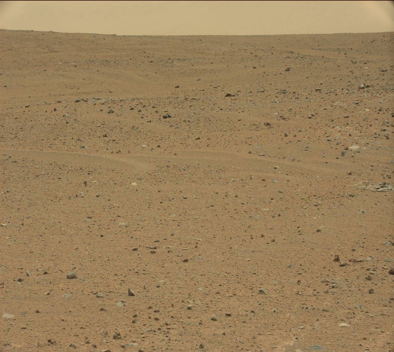 Nasa's Mars rover Curiosity acquired this image using its Mast Camera (Mastcam) on Sol 338