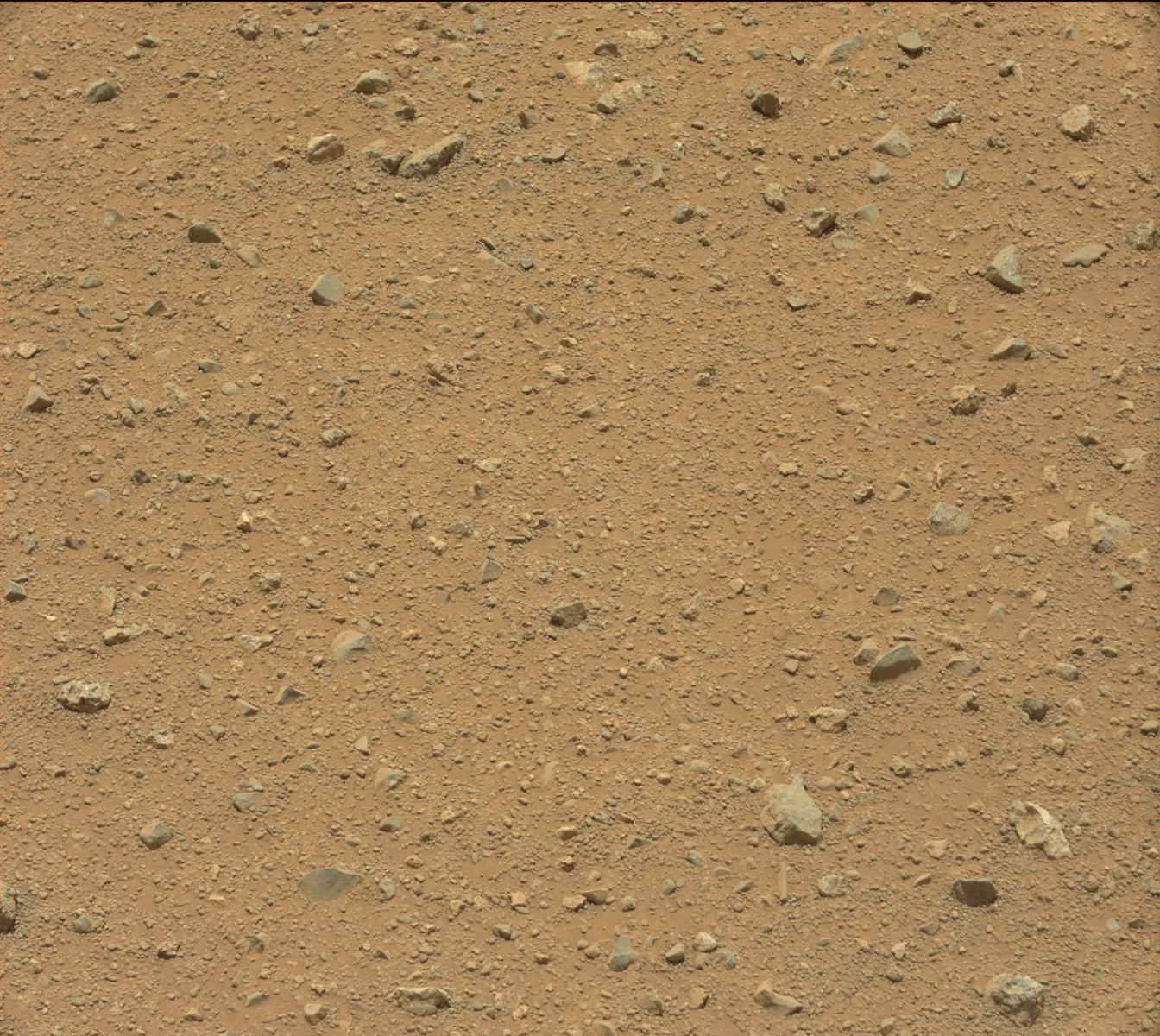 Nasa's Mars rover Curiosity acquired this image using its Mast Camera (Mastcam) on Sol 338