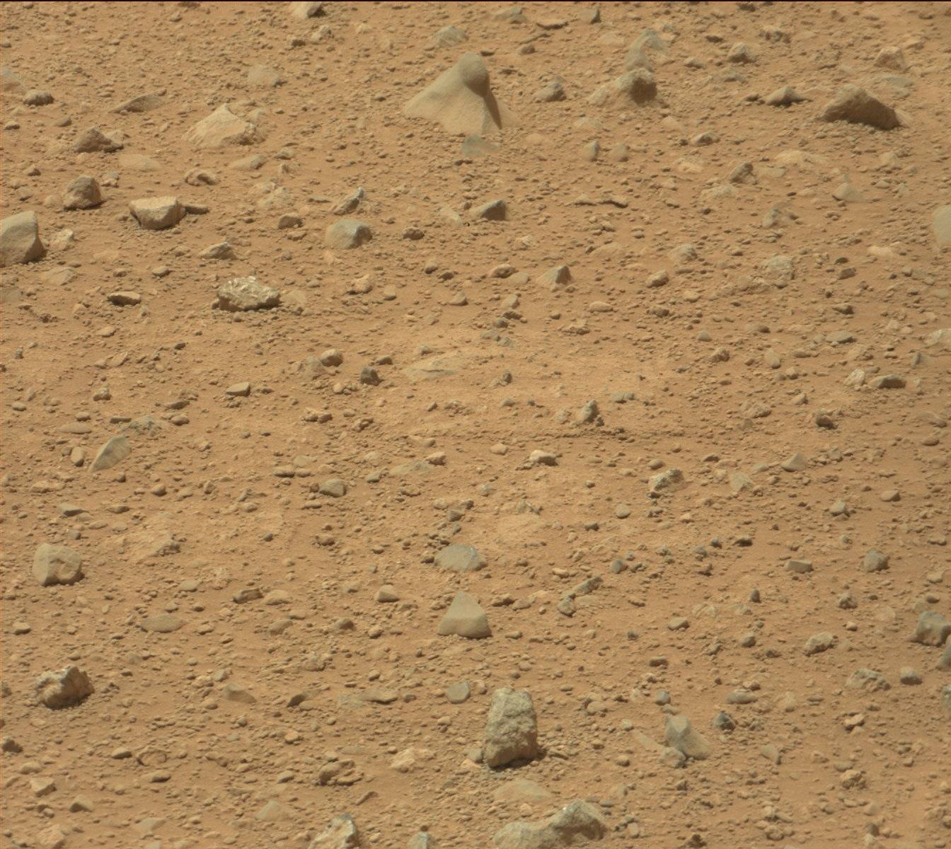 Nasa's Mars rover Curiosity acquired this image using its Mast Camera (Mastcam) on Sol 339