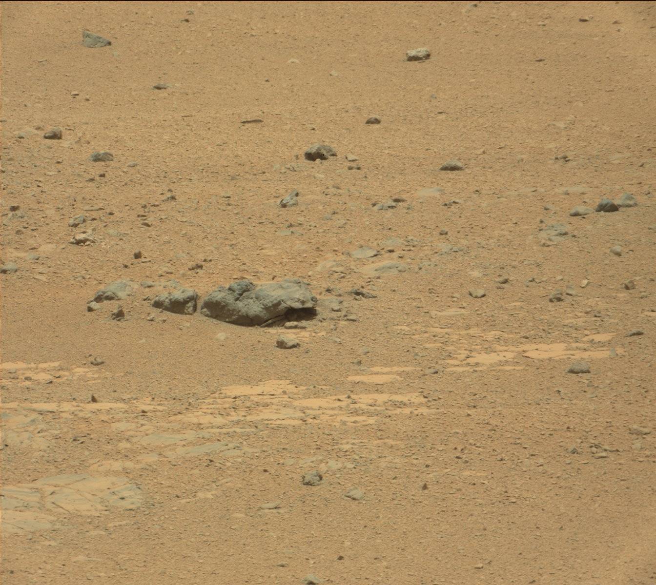 Nasa's Mars rover Curiosity acquired this image using its Mast Camera (Mastcam) on Sol 342