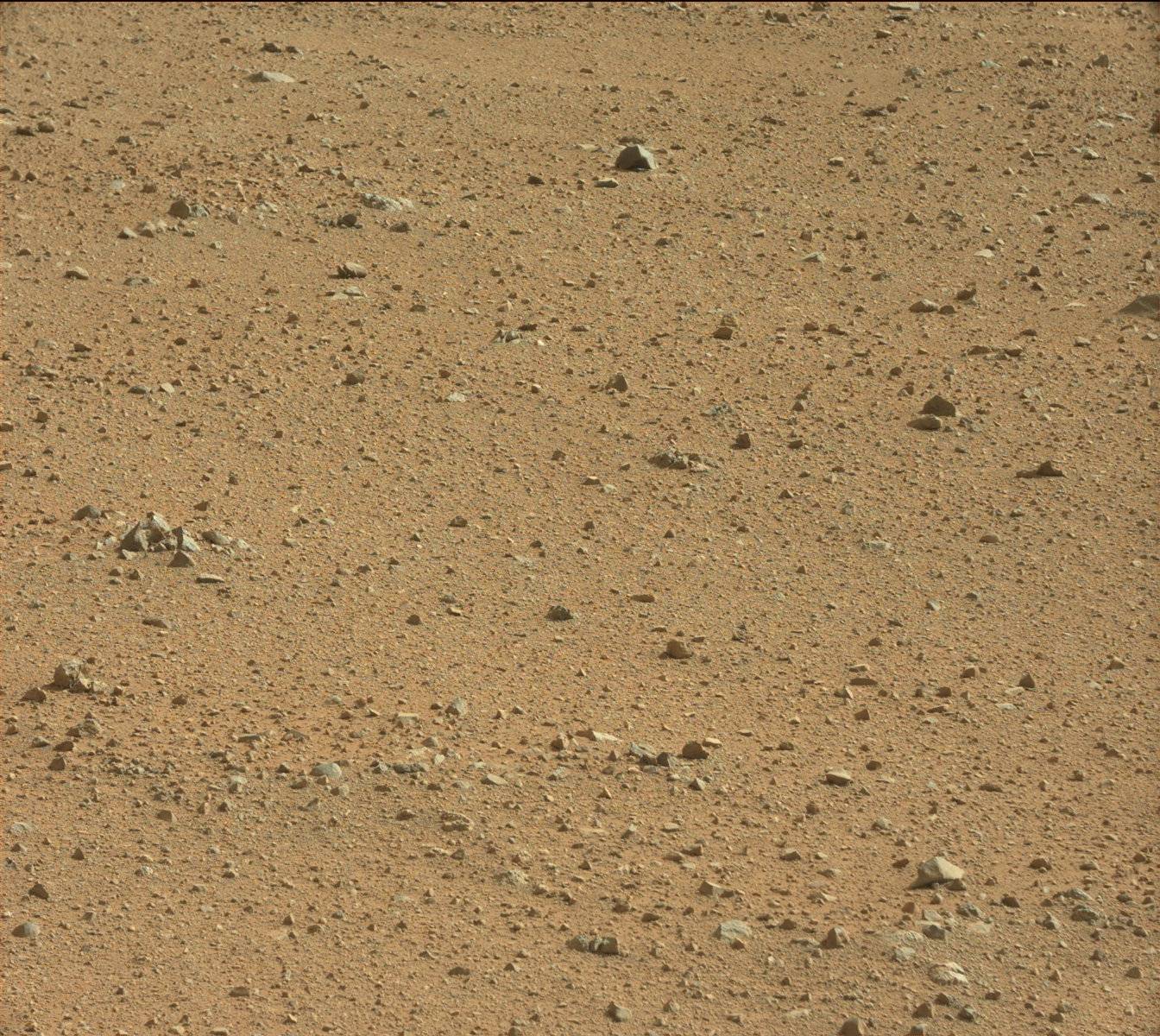 Nasa's Mars rover Curiosity acquired this image using its Mast Camera (Mastcam) on Sol 344