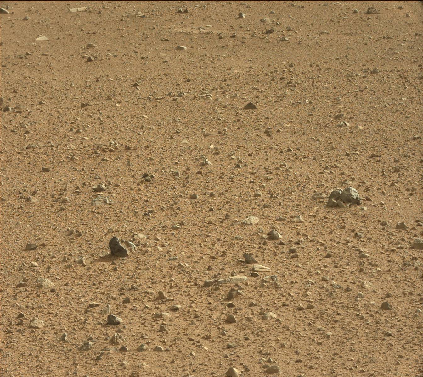 Nasa's Mars rover Curiosity acquired this image using its Mast Camera (Mastcam) on Sol 345