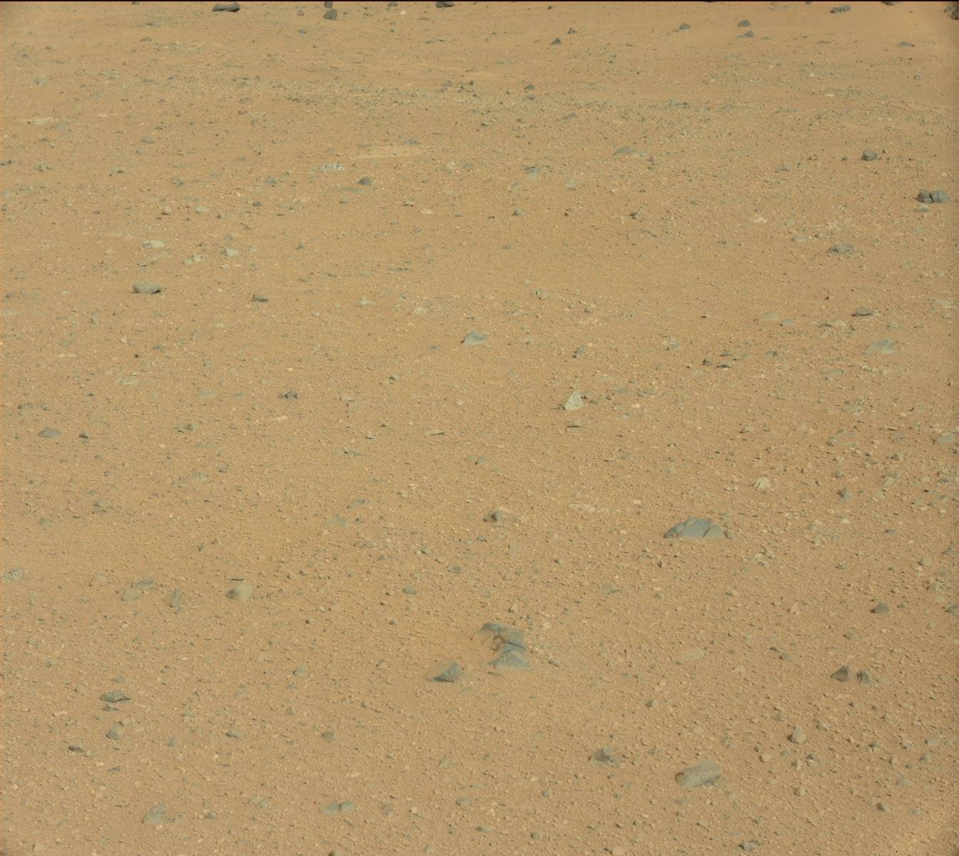 Nasa's Mars rover Curiosity acquired this image using its Mast Camera (Mastcam) on Sol 345