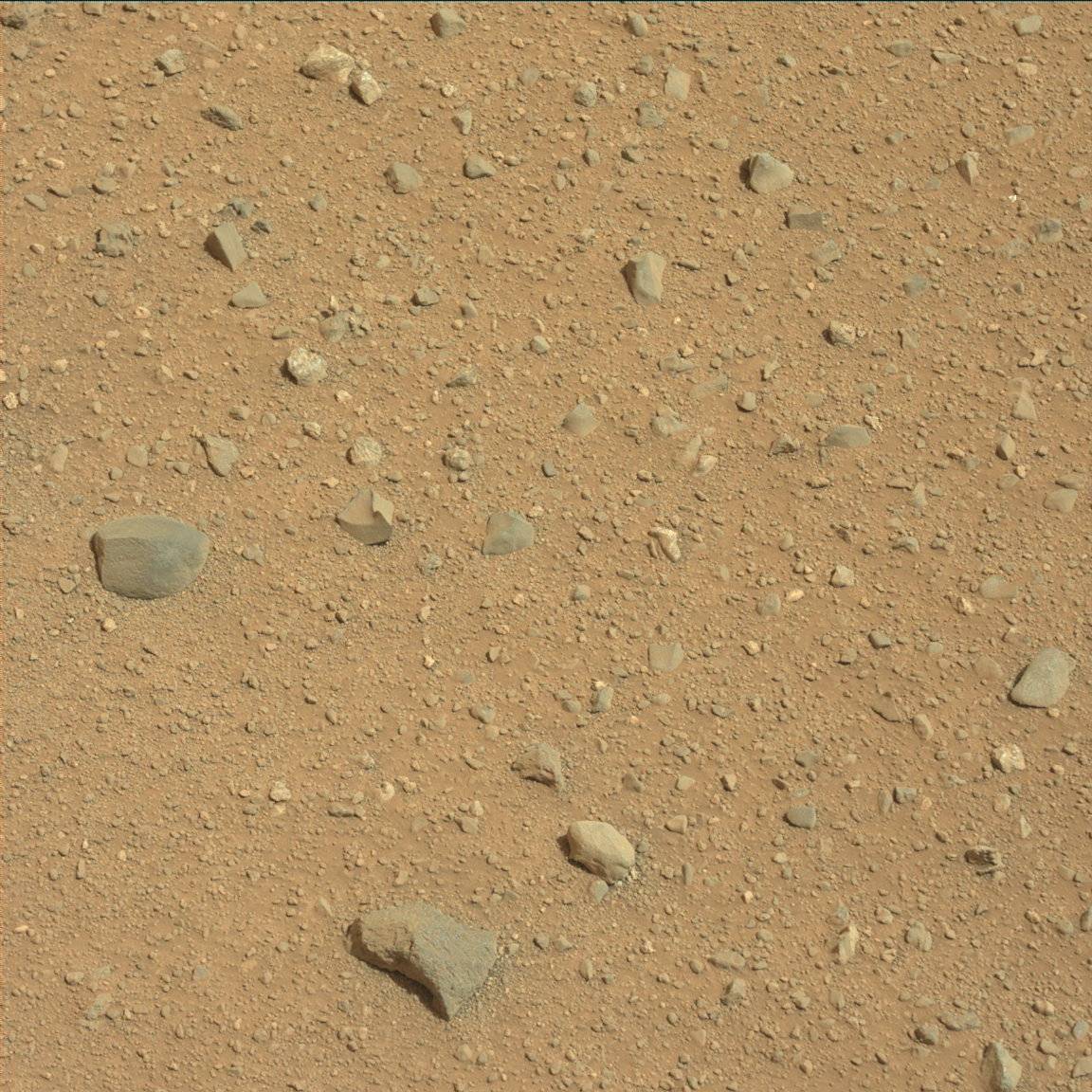 Nasa's Mars rover Curiosity acquired this image using its Mast Camera (Mastcam) on Sol 348