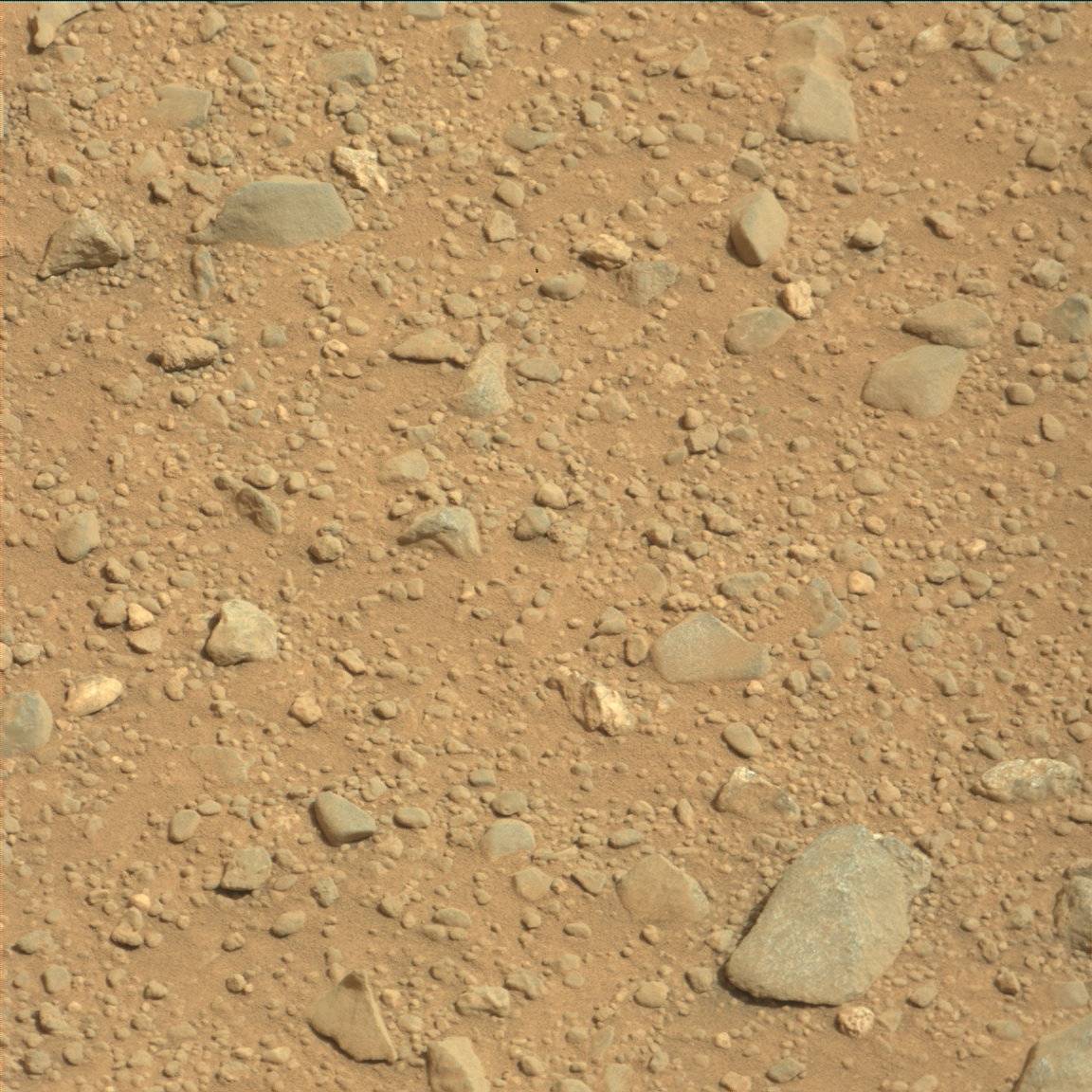 Nasa's Mars rover Curiosity acquired this image using its Mast Camera (Mastcam) on Sol 348