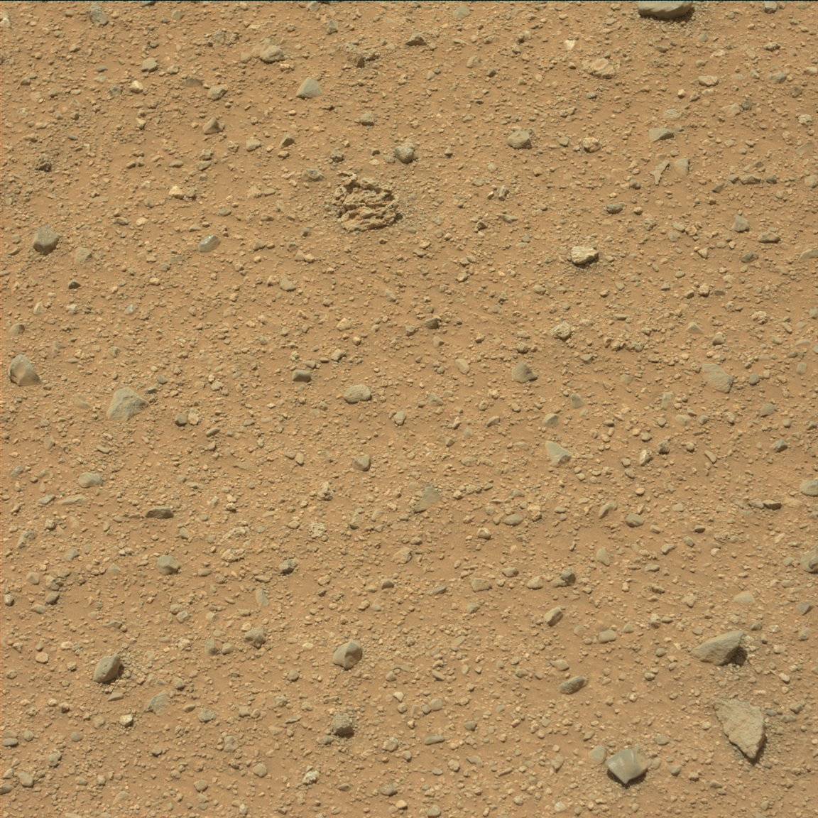 Nasa's Mars rover Curiosity acquired this image using its Mast Camera (Mastcam) on Sol 350