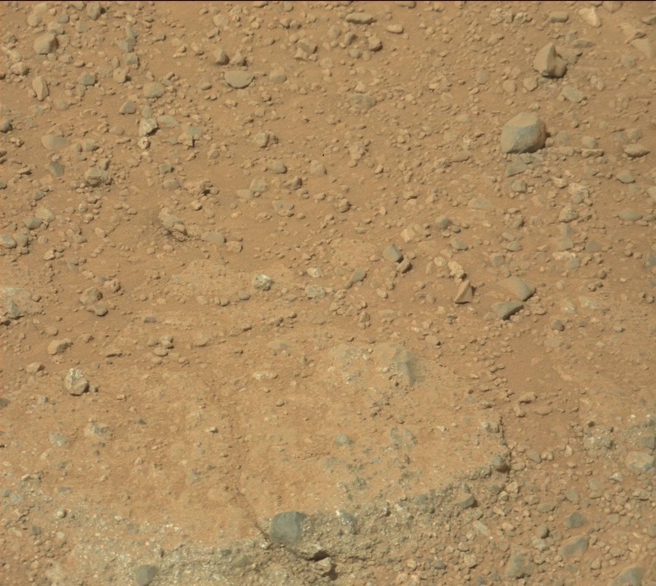 Nasa's Mars rover Curiosity acquired this image using its Mast Camera (Mastcam) on Sol 351