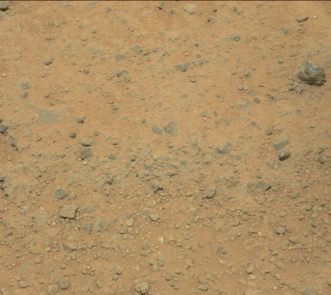 Nasa's Mars rover Curiosity acquired this image using its Mast Camera (Mastcam) on Sol 353