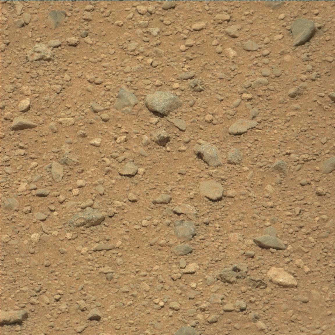 Nasa's Mars rover Curiosity acquired this image using its Mast Camera (Mastcam) on Sol 355