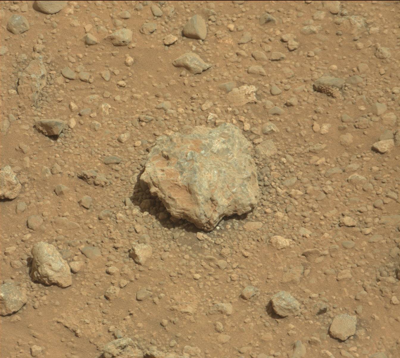 Nasa's Mars rover Curiosity acquired this image using its Mast Camera (Mastcam) on Sol 356