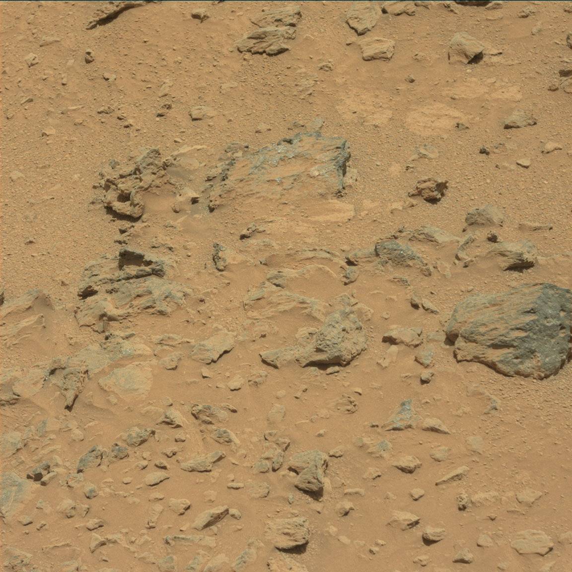 Nasa's Mars rover Curiosity acquired this image using its Mast Camera (Mastcam) on Sol 359