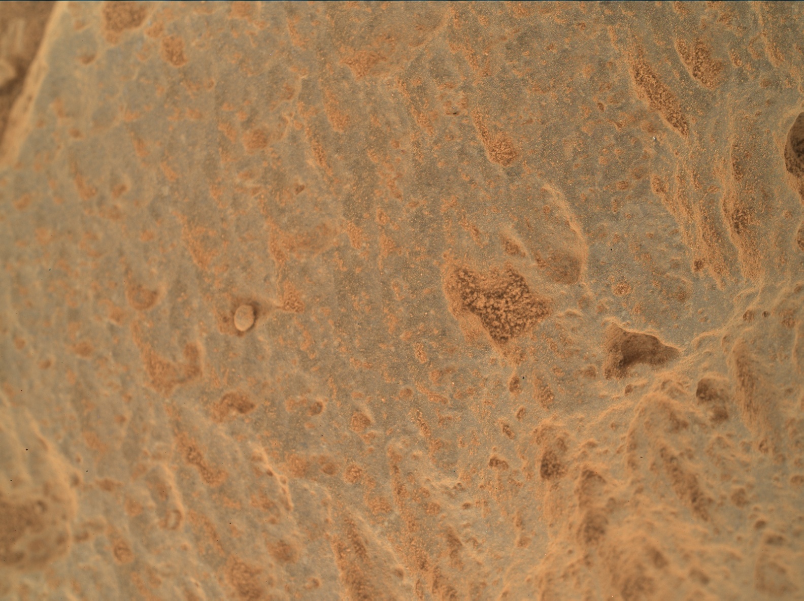 Nasa's Mars rover Curiosity acquired this image using its Mars Hand Lens Imager (MAHLI) on Sol 360