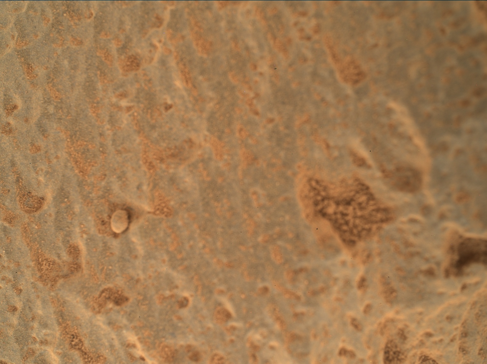 Nasa's Mars rover Curiosity acquired this image using its Mars Hand Lens Imager (MAHLI) on Sol 360