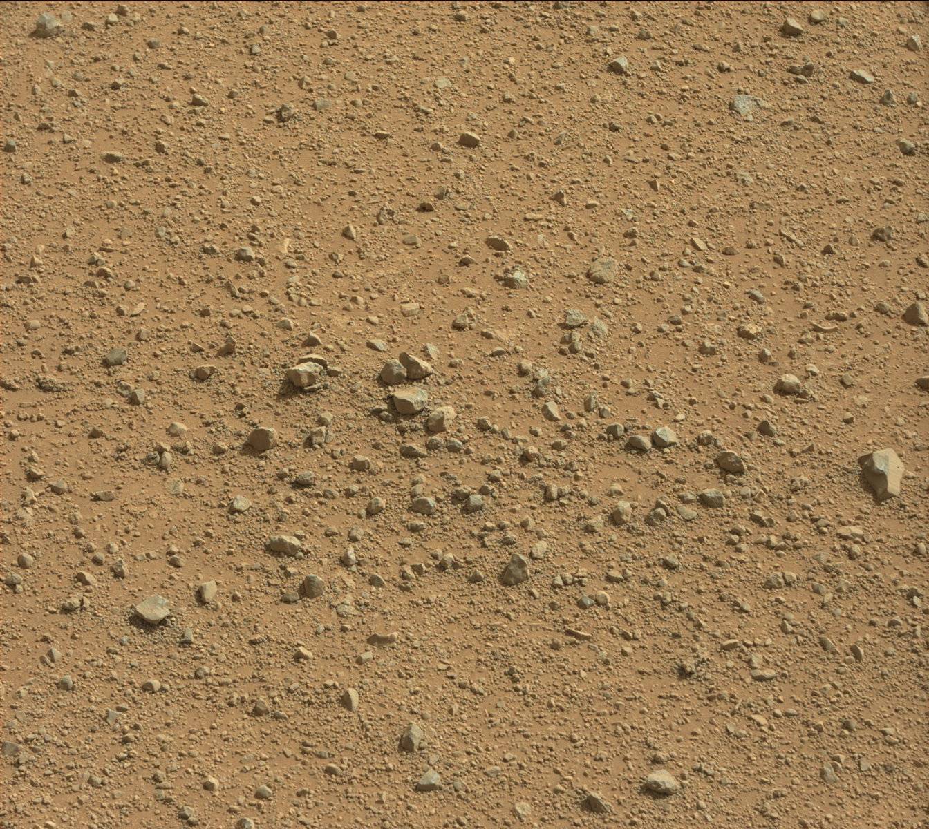 Nasa's Mars rover Curiosity acquired this image using its Mast Camera (Mastcam) on Sol 369