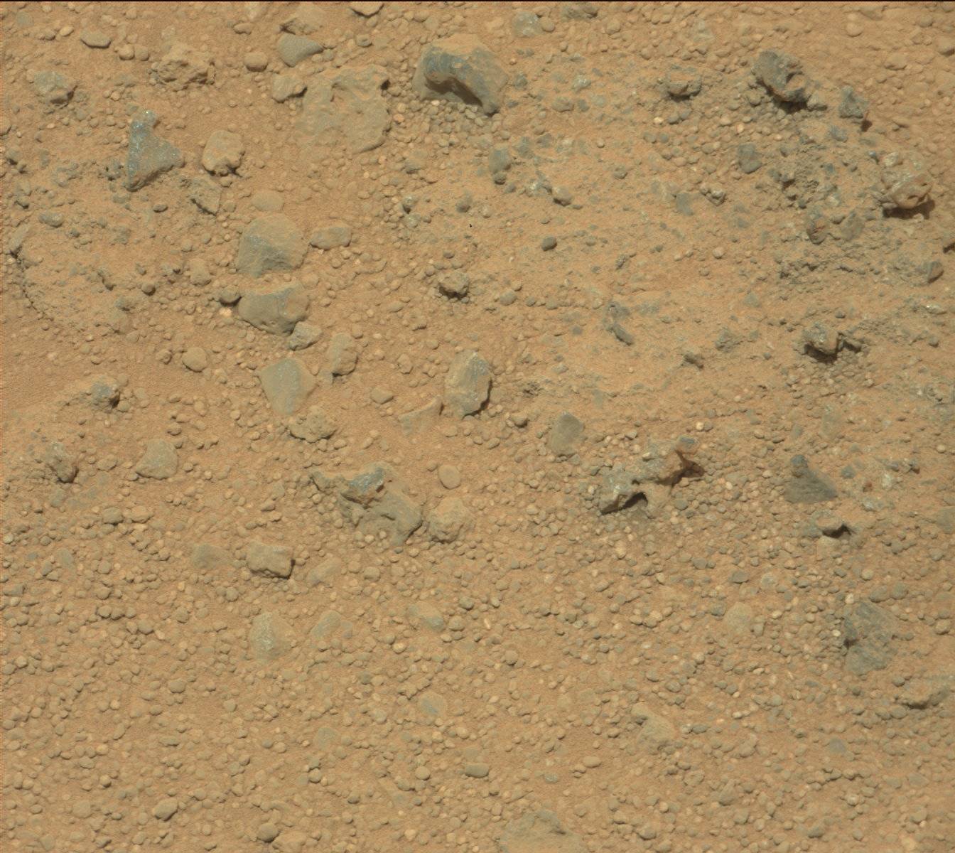 Nasa's Mars rover Curiosity acquired this image using its Mast Camera (Mastcam) on Sol 373