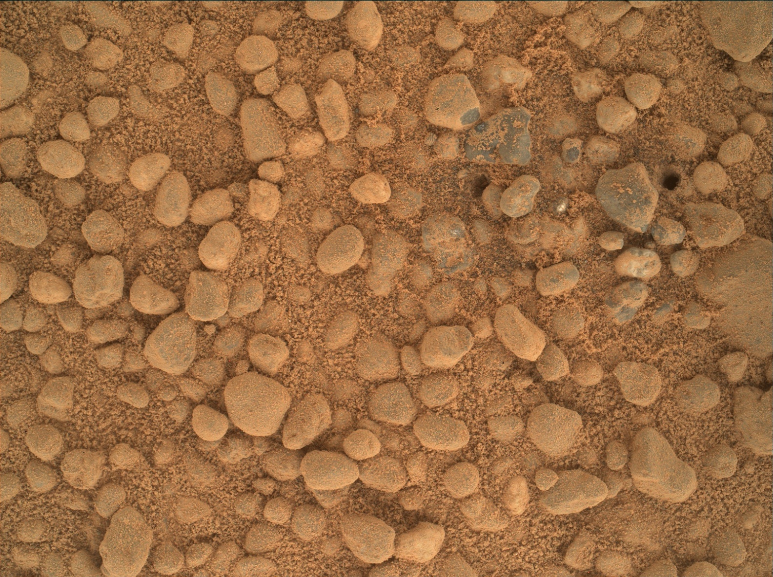 Nasa's Mars rover Curiosity acquired this image using its Mars Hand Lens Imager (MAHLI) on Sol 373