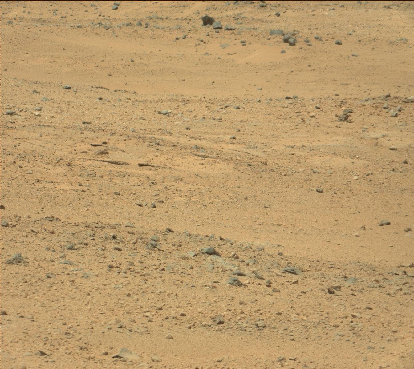 Nasa's Mars rover Curiosity acquired this image using its Mast Camera (Mastcam) on Sol 376