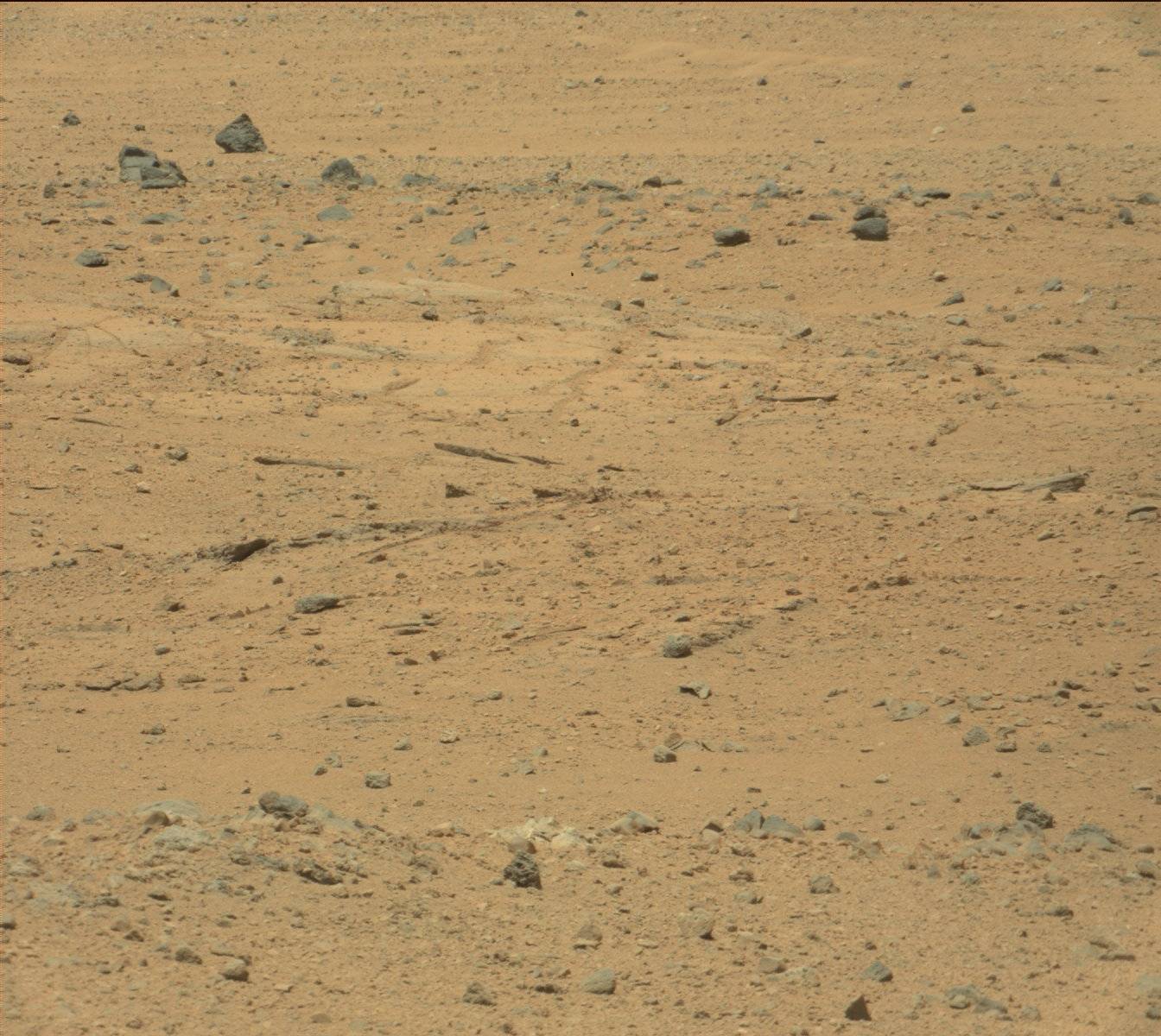 Nasa's Mars rover Curiosity acquired this image using its Mast Camera (Mastcam) on Sol 376