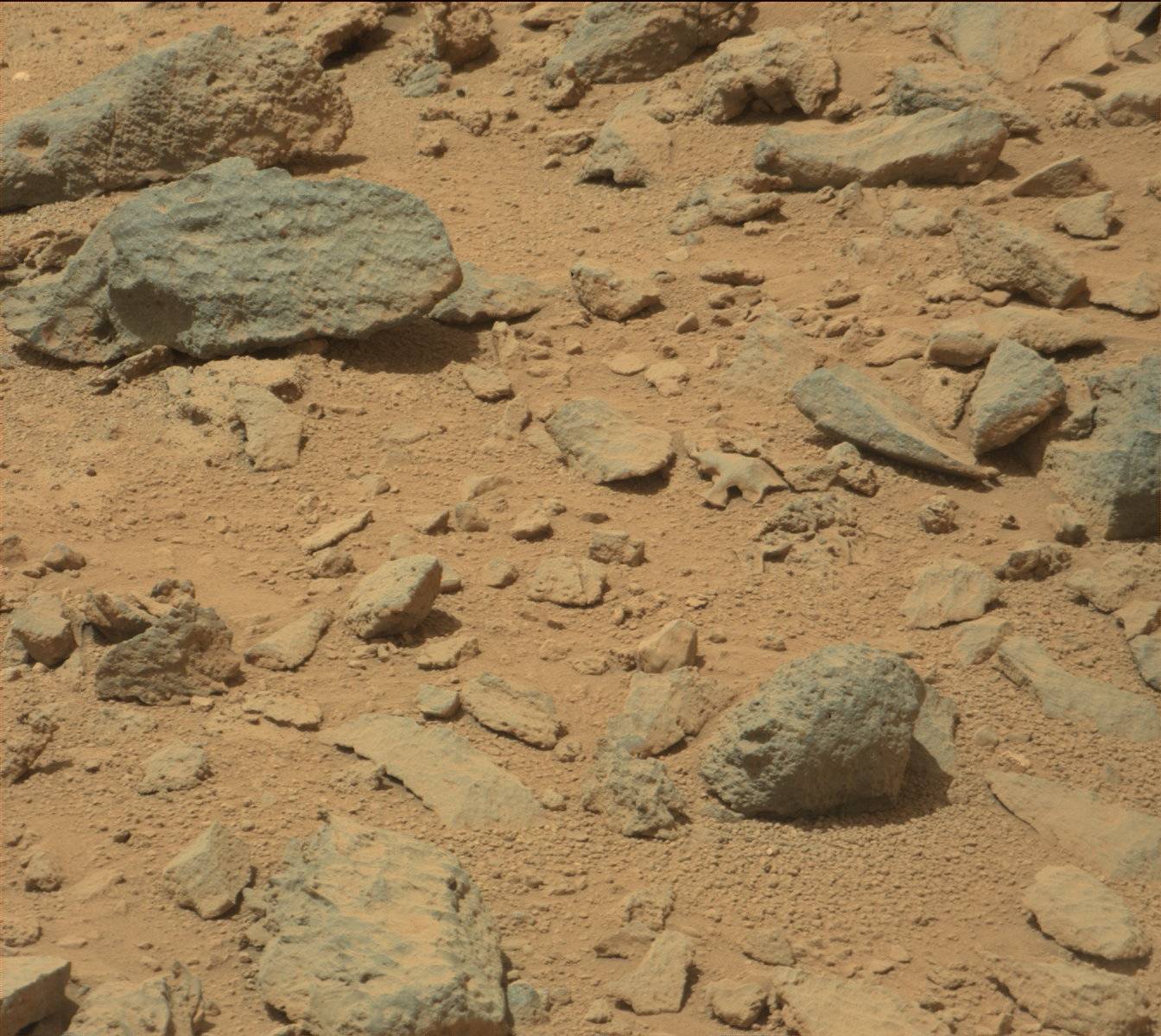 Nasa's Mars rover Curiosity acquired this image using its Mast Camera (Mastcam) on Sol 377