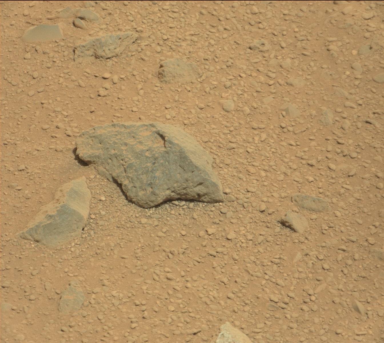 Nasa's Mars rover Curiosity acquired this image using its Mast Camera (Mastcam) on Sol 377