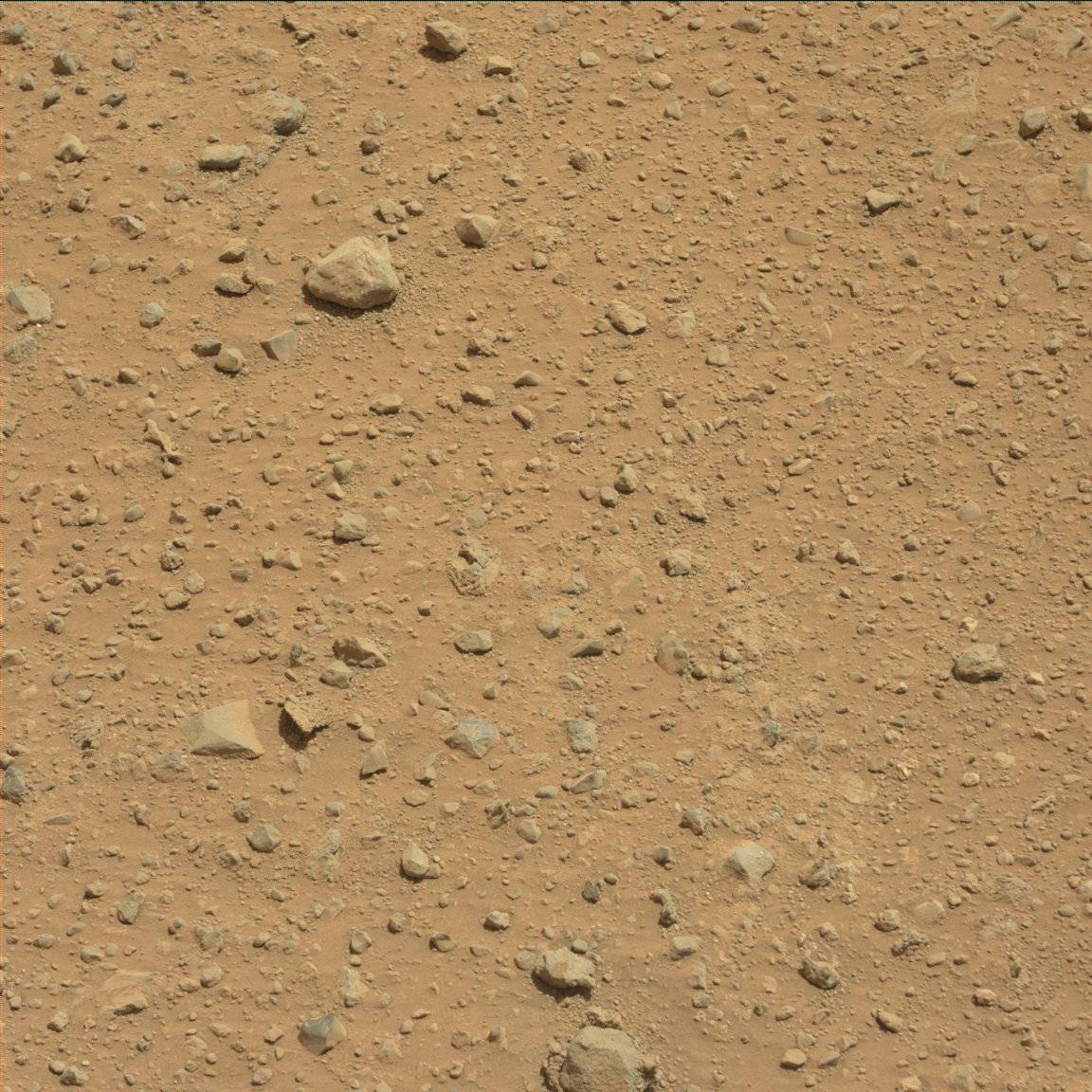 Nasa's Mars rover Curiosity acquired this image using its Mast Camera (Mastcam) on Sol 380