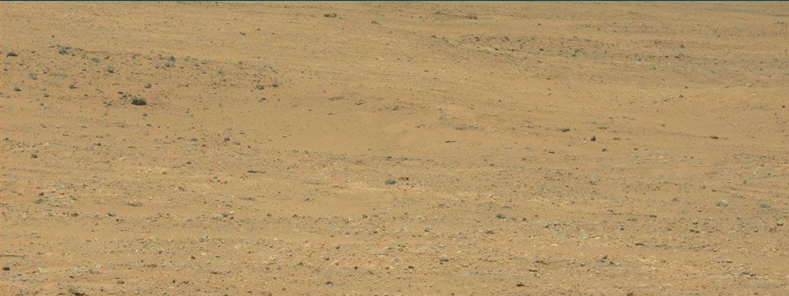 Nasa's Mars rover Curiosity acquired this image using its Mast Camera (Mastcam) on Sol 382