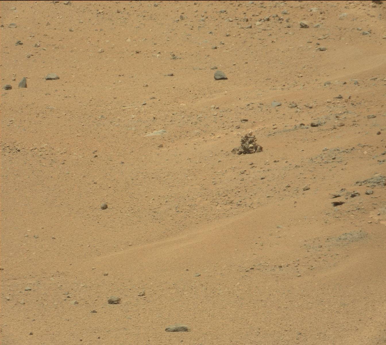 Nasa's Mars rover Curiosity acquired this image using its Mast Camera (Mastcam) on Sol 382